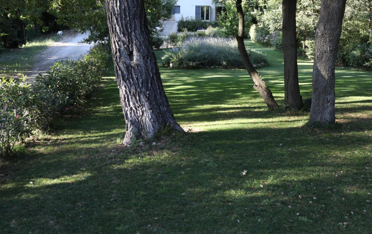 Maison Calme Et Verdure Saint-Cannat Exterior foto
